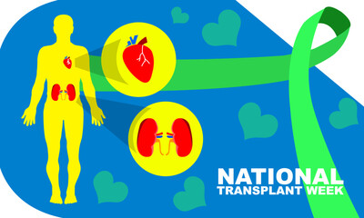 yellow silhouette of full body human with heart and kidney organs and green awareness ribbon commemorating National Transplant Week
