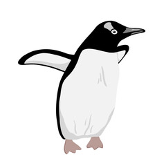 Cute Penguin. Flat vector illustration isolated on white.