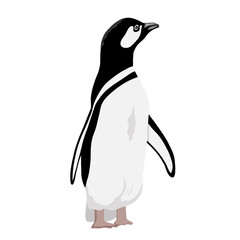 Cute Penguin. Flat vector illustration isolated on white.