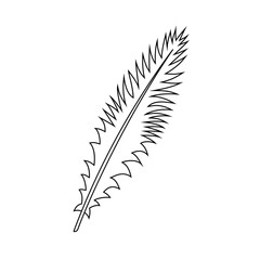 Silhouette of a bird's feather on a white background.