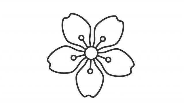 Cherry blossom icon animation. Animated line flower head rotating. Sakura plant. Japanese culture. Spring time. Loop HD video with alpha channel, transparent background. Outline motion graphic