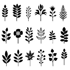 Set of leaves, decorative elements, leaves, isolated on white background, Vector illustration.