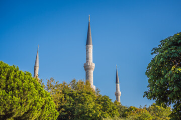 Fototapeta na wymiar The Blue Mosque, Sultanahmet Camii, Istanbul, Turkey