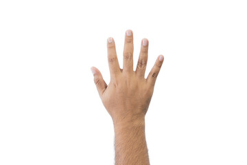 Obraz premium Close-up man's back of hand. Open outstretched hand, showing five fingers means number five, extended in greeting copy space isolated on white background. Space for text.