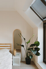 Modern minimal home interior design. Tropical palm tree, bed with white bed linen, mirror, side...