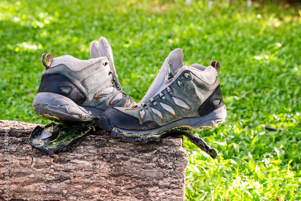 Wall mural hiking shoes damaged on a log in the forest