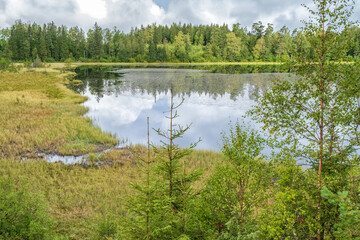 Fototapeta na wymiar View of a lake in the woods by a bog