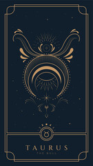 Taurus Symbol Zodiac Illustration - 613745665