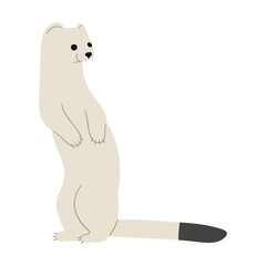 stoats,ermine and weasels cute 12 PNG