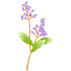 Single purple berry branch illustration