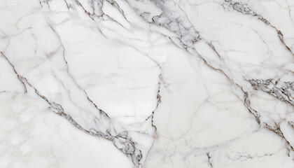 Satvario white marble background for ceramic tile