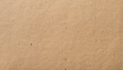 Fototapeta na wymiar Abstract brown recycled paper texture background. Old Kraft paper box craft pattern. top view.