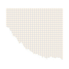 Torn Sheet Paper Illustration. Torn or ripped paper sheet. Scrapbook edge, notebook tear or blank page split illustration. Abstract realistic ornament or decoration clip art for banner background.