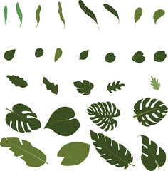 Leaf Branch, hand draw set elements in minimalist Design illustration foe decoration for wedding or birthday card