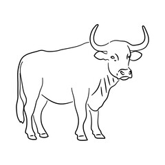 Bull illustration in hand drawn design. Vector.