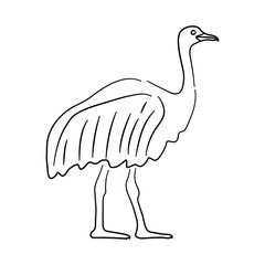 Hand drawn illustration of a Ostrich. Vector isolated on a white background.