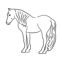 Horse illustration in hand drawn design. Vector.