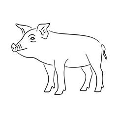 Piggy illustration in hand drawn design. Vector.