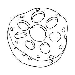 Sketchy black icon of Lotus root. Hand-drawn doodle style. Vector illustration.