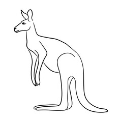 Hand drawn illustration of a kangaroo. Vector isolated on a white background.