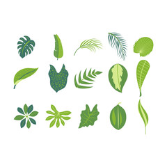 Tropical leaves and abstract exotic plant vector design elements on the white background. Flat Design jungle leaves. Nature plant tropical leaves