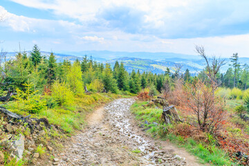 Fototapeta na wymiar View of the peaks of Beskid Sądecki from the tourist trail near Obidza on a spring sunny day