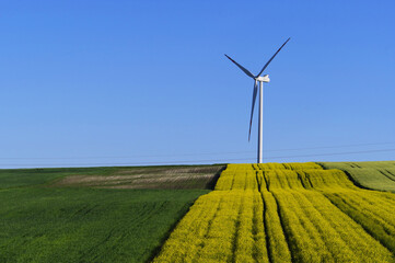 Turbina elektryczna, wiatrowa na polach w lecie.