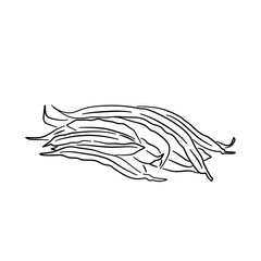 Green beans depicted in a hand-drawn black sketch style. Doodle icon. Vector illustration.