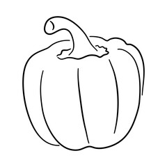 Vector illustration of a pepper depicted in a hand-drawn black sketch. Doodle icon.