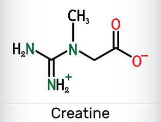 Creatine molecule, food supplements. Structural chemical formula.