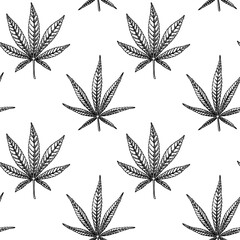 Marijuana leaves seamless pattern. Cannabis hand drawn vintage background. Vector illustration in sketch style. Weed engraving design