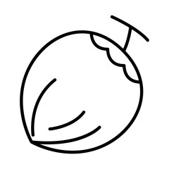 Coconut icon