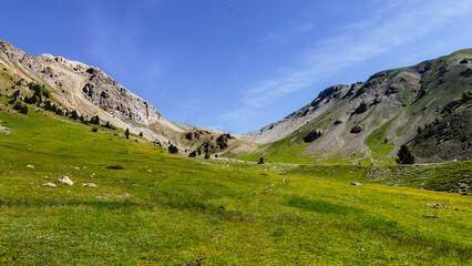 Fototapeta na wymiar Montagne du Queyras