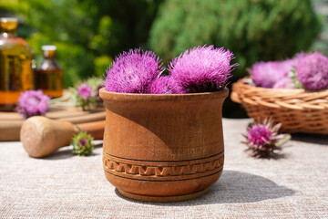 Bright prickly Thistle buds collected for medicinal purposes in the wooden bowl with mortar and...