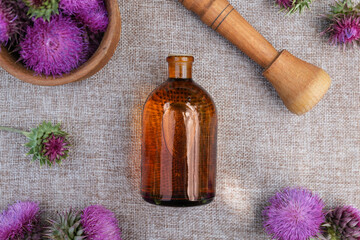 Buds medicinal wild plants burdock and burdocks medicinal tincture. Top view, flat lay.