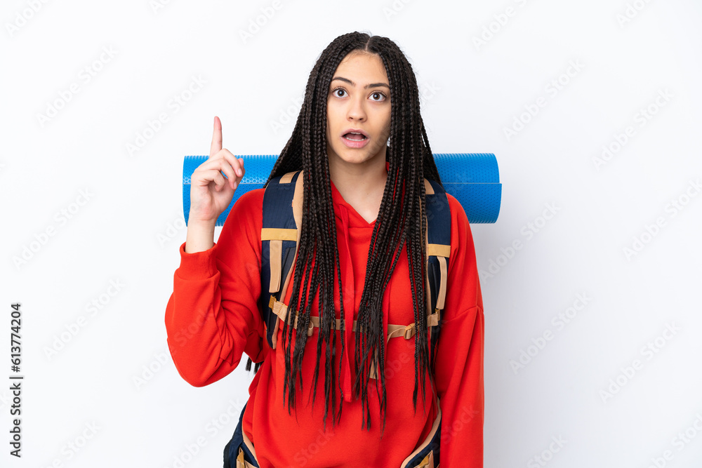 Poster Hiker teenager girl with braids over isolated white background thinking an idea pointing the finger up