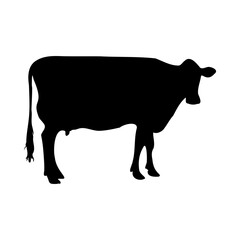 cow silhouette