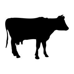 cow silhouette