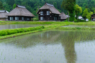 茅葺屋根と早苗田
