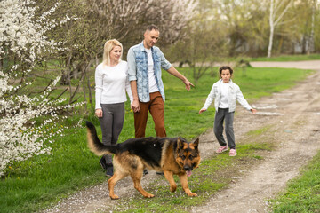 Family with small child and dog outdoors in orchard in spring.