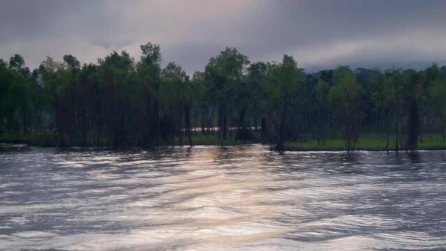 amazon river in amazon rainforest Brazil waling at sunset