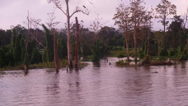 The Amazon River in South America is the largest river by discharge volume of water in the world sailing at sunset