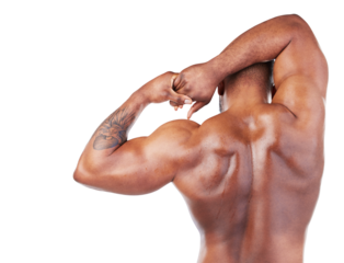 Fitness, back view of a man stretching and isolated against a transparent png background. Strong muscles or muscular, bodybuilder or athlete and male person stretch for body health wellness.