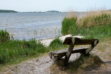 Romantische alte Holzbank am Meer, Bodden, Ostsee
