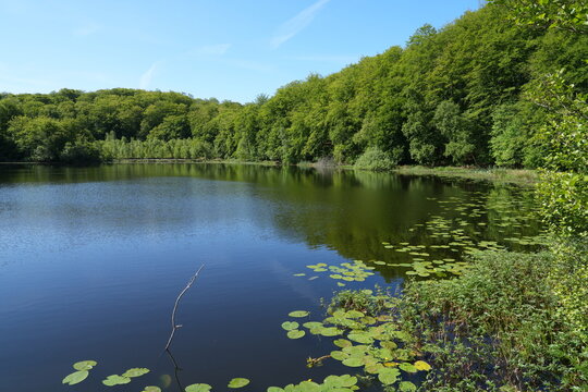 Schwarzer See im Wald der Granitz, Sellin, R&uuml;gen, Deutschland