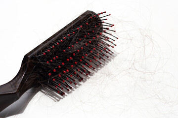 Hairs loss fall in comb on white background.