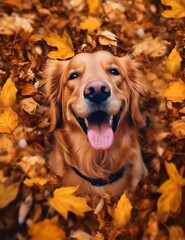 Golden Retriever Dog Relaxing in Autumn Leaves. Generative ai
