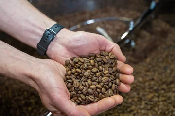 Tuinposter grains de café torréfiés dans les mains d'un artisan © Esta Webster
