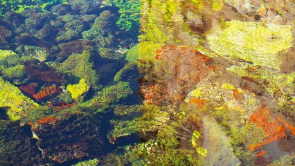 texture of the stone under water
