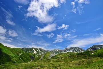 Fototapeta premium 北アルプス 立山連峰 夏景色